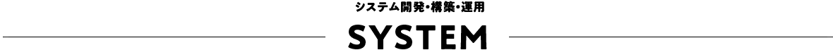 システム開発・構築・運用 SYSTEM