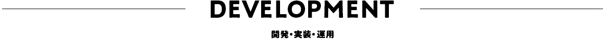 Development開発・実装・運用